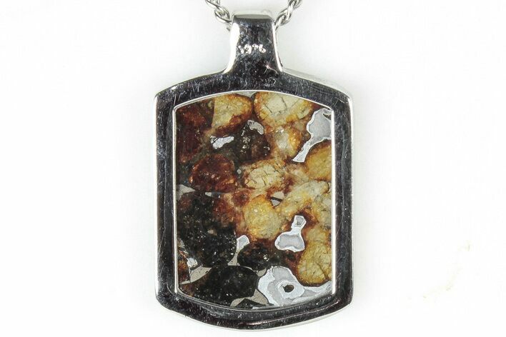 Sericho Pallasite Dog Tag Meteorite Pendant - Kenya #309299